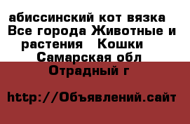 абиссинский кот вязка - Все города Животные и растения » Кошки   . Самарская обл.,Отрадный г.